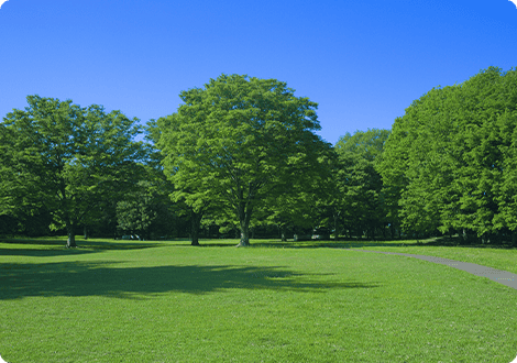 滋賀県希望が丘文化公園