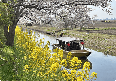 水郷めぐり