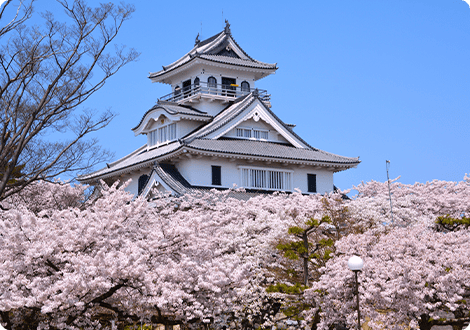 長浜城(長浜城歴史博物館)