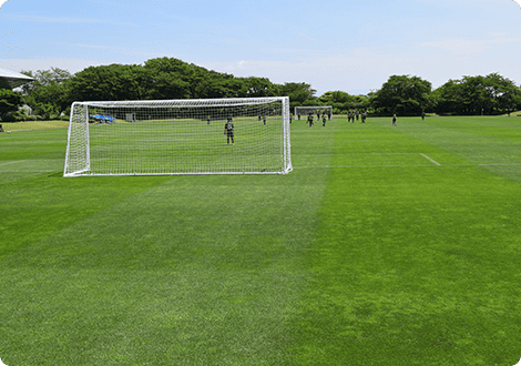 野洲川歴史公園サッカー場ビッグレイク